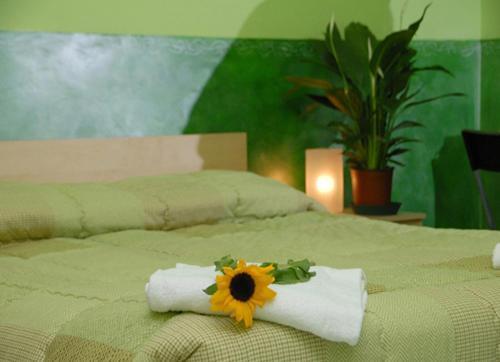 ออน เดอะ เรนไบว์ บีแอนด์บี Bed & Breakfast โรม ภายนอก รูปภาพ